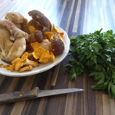 Paisible Avec Petit-dejeuner Pres De La Foret - Fr-1-582-509 Sembadel