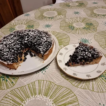 Paisible Avec Petit-déjeuner Près De La Forêt - Fr-1-582-509 * Sembadel